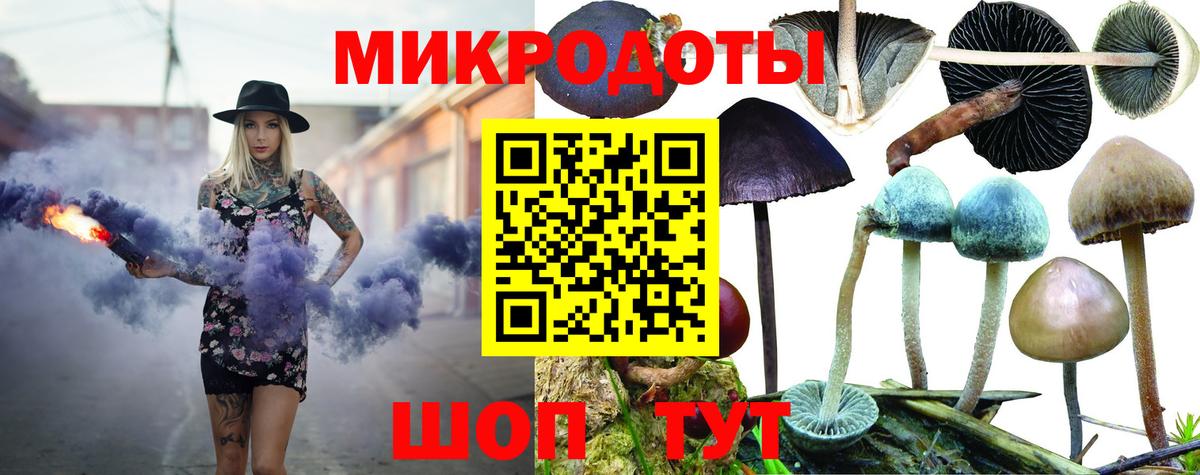 Шадринск  Галлюциногенные грибы Psilocybine cubensis  Вход с VPN 