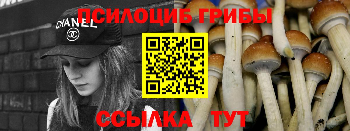 Псилоцибиновые грибы ЛСД Шадринск