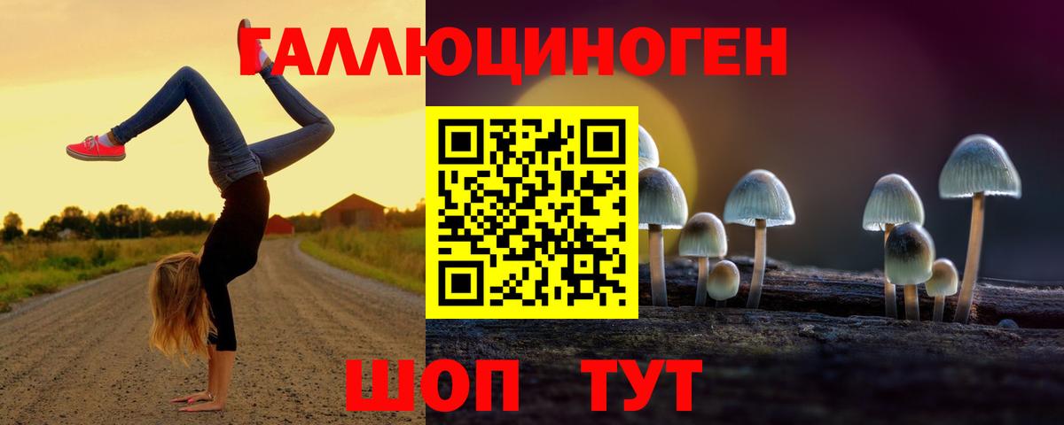 ЭКСТАЗИ  Вход с VPN  Сколько стоит  MDMA  А ПВП СК кристаллы  Лсд 25  МЕФ кристаллы  Марихуана  Шадринск  ГАШ 